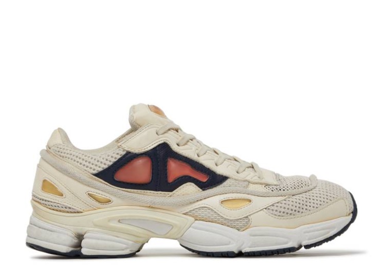 Adidas Raf Simons X Ozweego