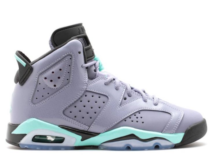 Air Jordan 6 Retro Gg - Iron Purple