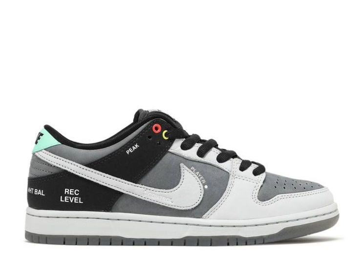 Nike Dunk Low Sb - Camcorder