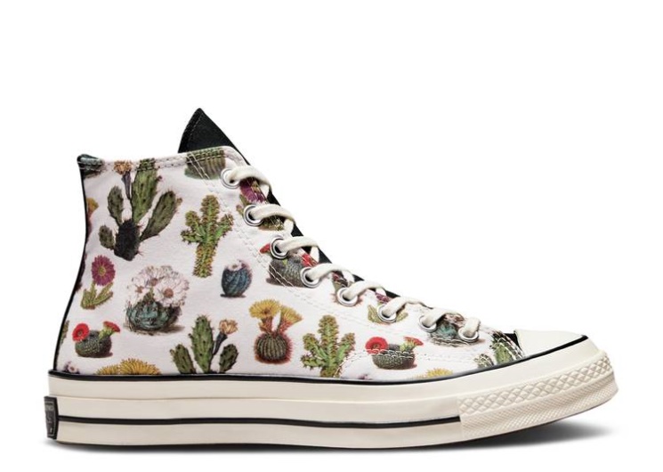 Converse Chuck 70 High - Succulents