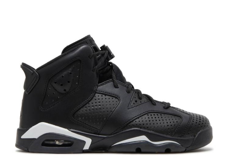 Air Jordan 6 Retro Gs - Black Cat
